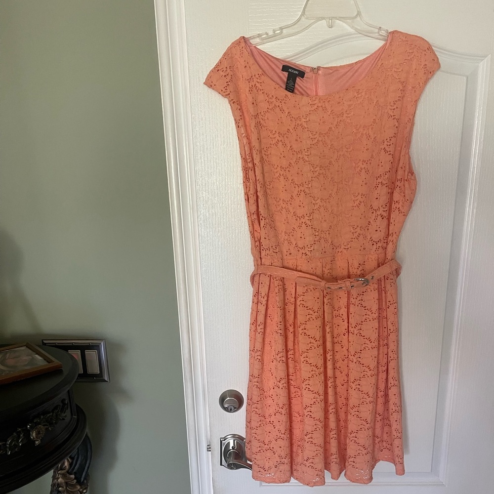 Alfani Peach Eyelit Dress (New) Size L